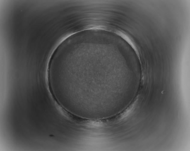 X0000088851050200706081131
