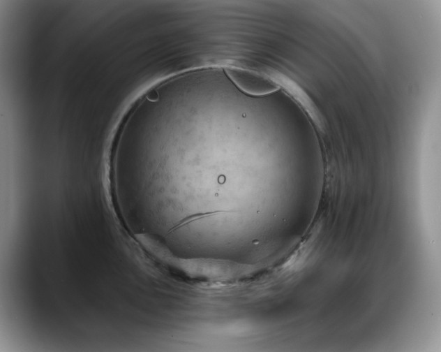X0000088851051200706081131