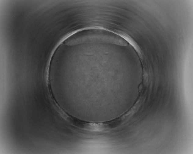 X0000088851052200706081131