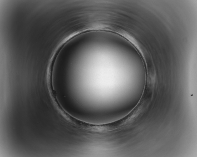X0000088851053200706081131
