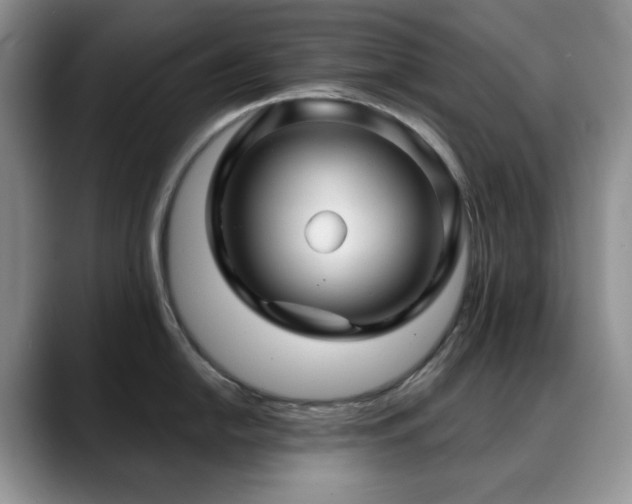 X0000088851054200706081131