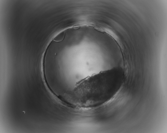 X0000088851055200706081131