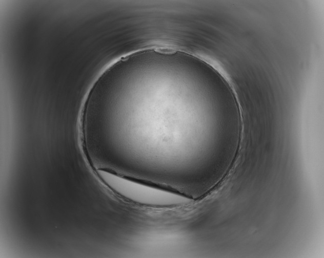 X0000088851056200706081131