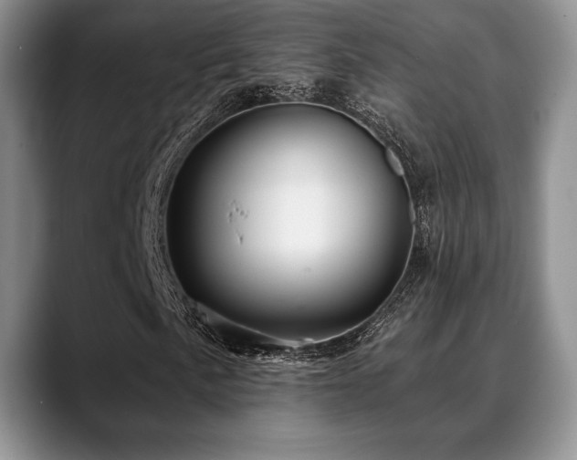 X0000088851057200706081130