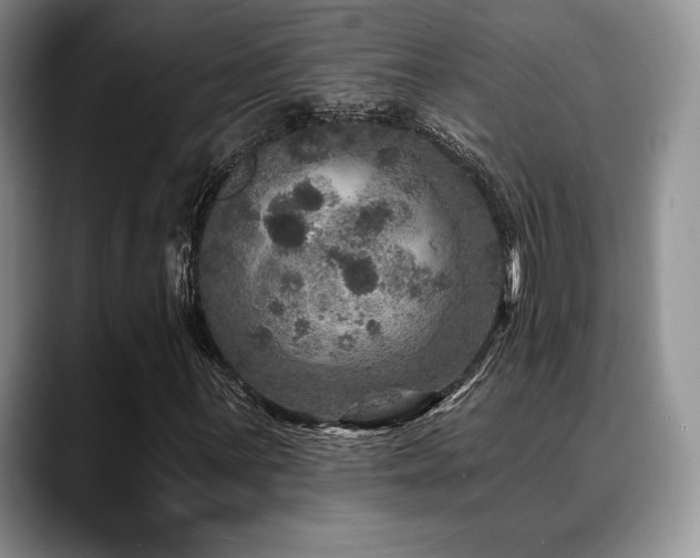 X0000088851059200706081130