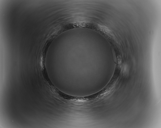 X0000088851060200706081130