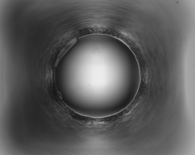 X0000088851061200706081130
