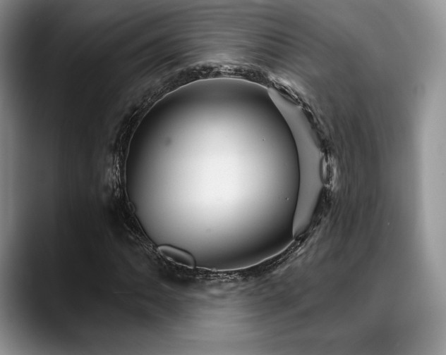 X0000088851062200706081130