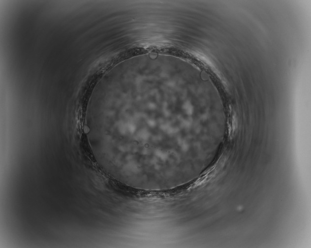 X0000088851063200706081130