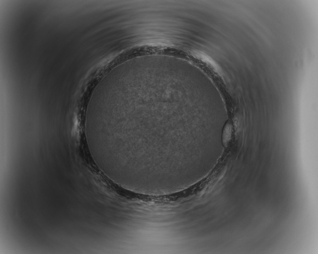 X0000088851064200706081130