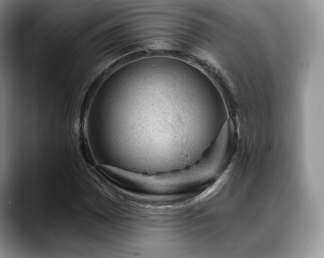 X0000088851065200706081130