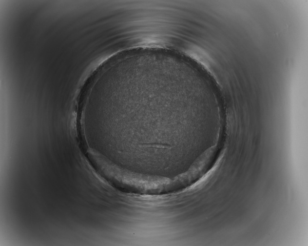 X0000088851066200706081130