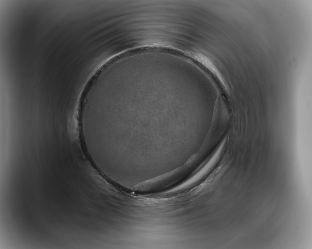 X0000088851068200706081130