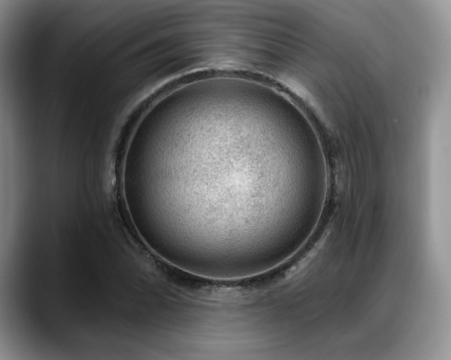 X0000088851070200706081130