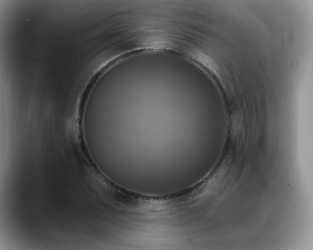 X0000088851071200706081130