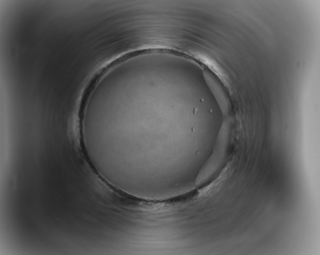 X0000088851072200706081130