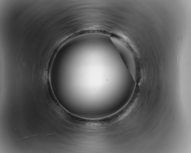 X0000088851073200706081130