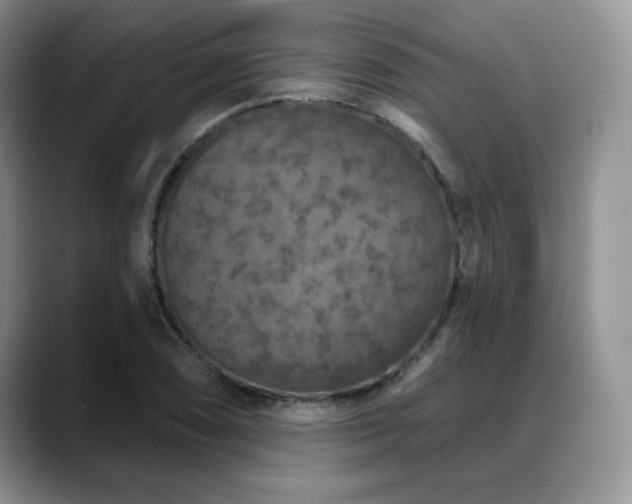 X0000088851074200706081130