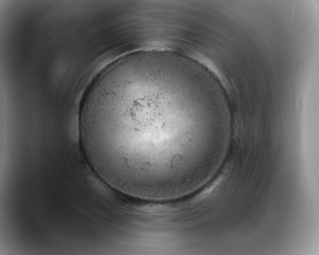 X0000088851075200706081130