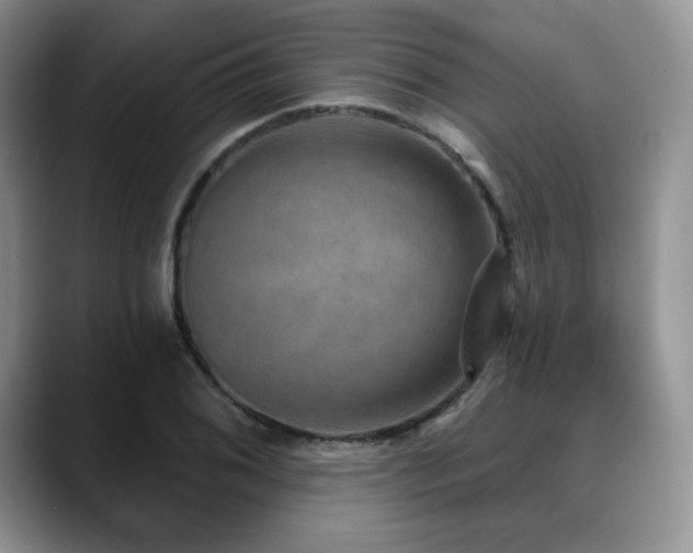 X0000088851076200706081130