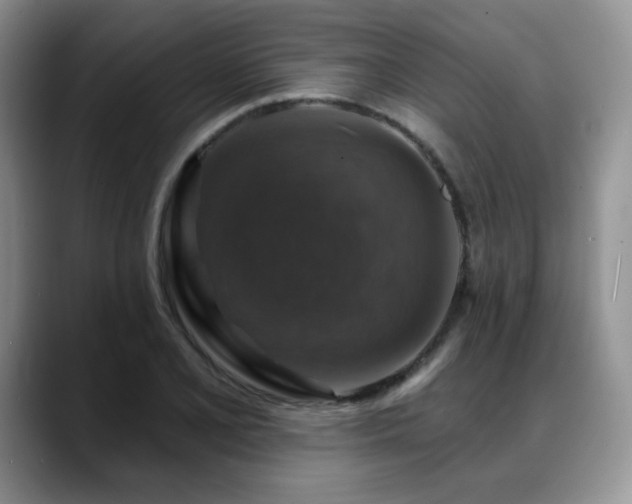 X0000088851077200706081130