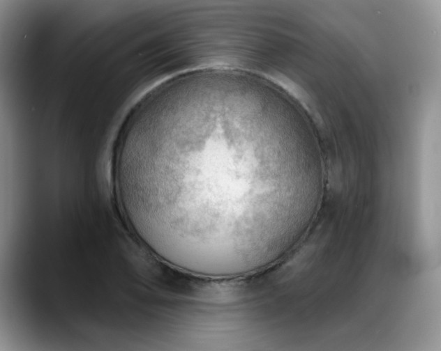 X0000088851078200706081130