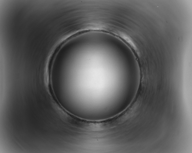 X0000088851080200706081130