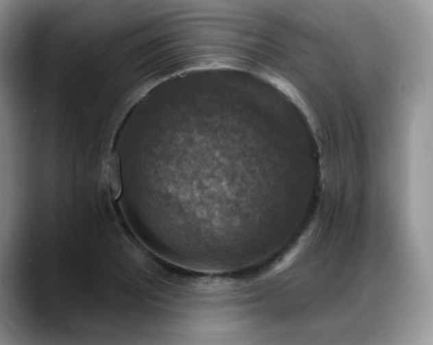 X0000088851081200706081130