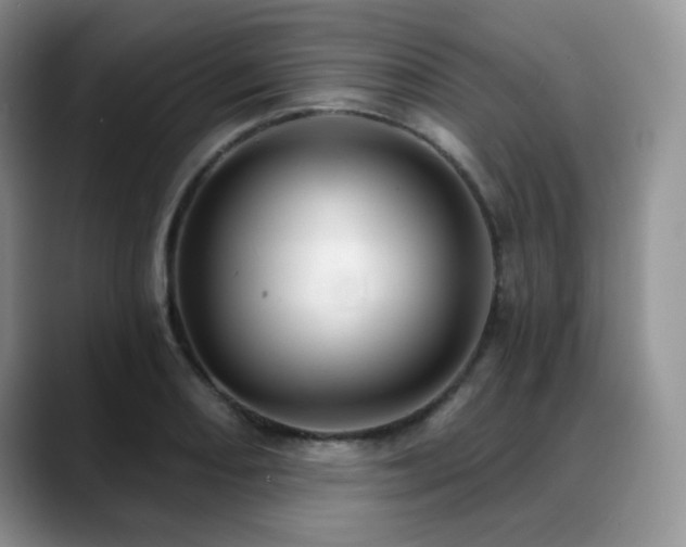 X0000088851082200706081130