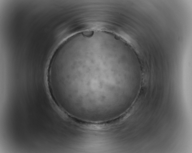 X0000088851086200706081130