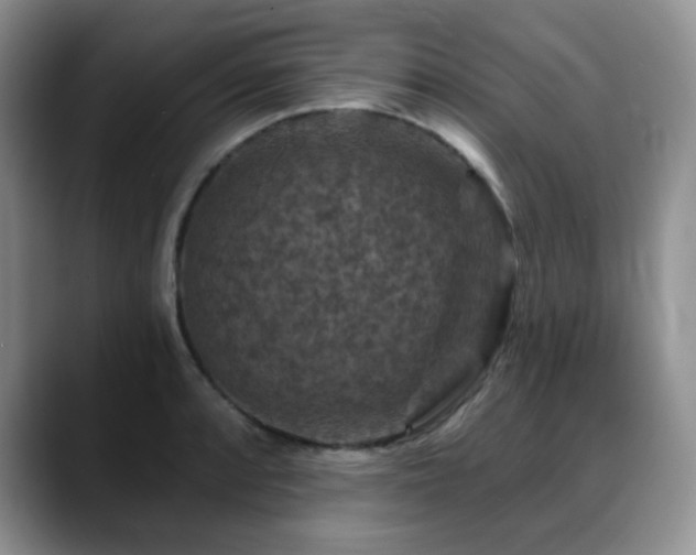 X0000088851088200706081130