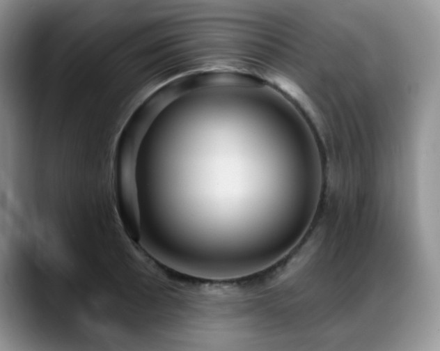 X0000088851089200706081130