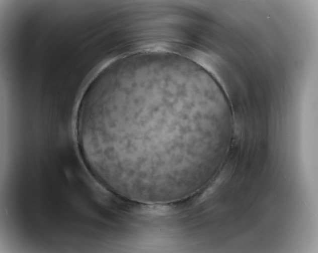 X0000088851090200706081130