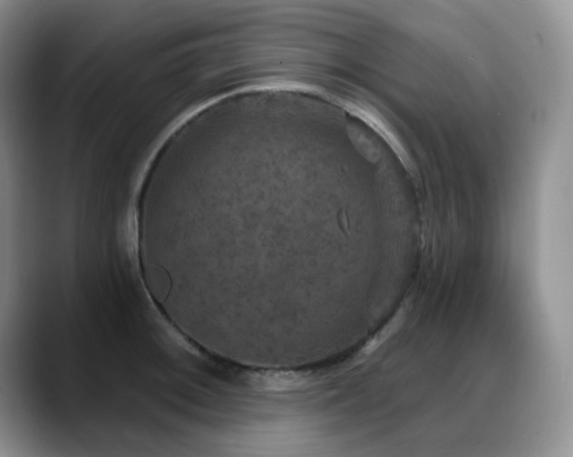 X0000088851092200706081130