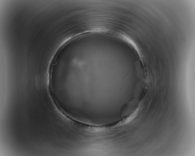 X0000088851095200706081130