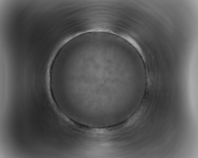 X0000088851096200706081130