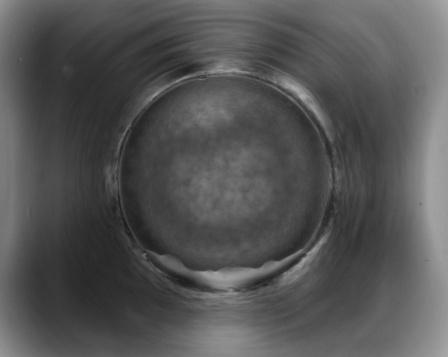 X0000088851097200706081130