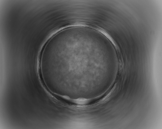 X0000088851101200706081130