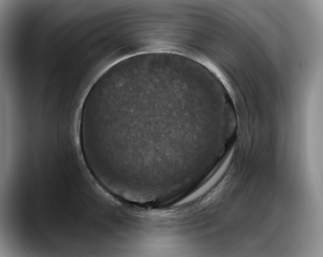 X0000088851102200706081130