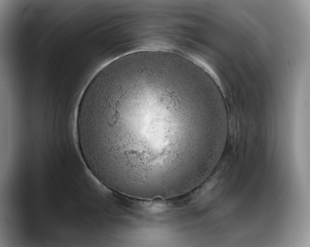 X0000088851103200706081130