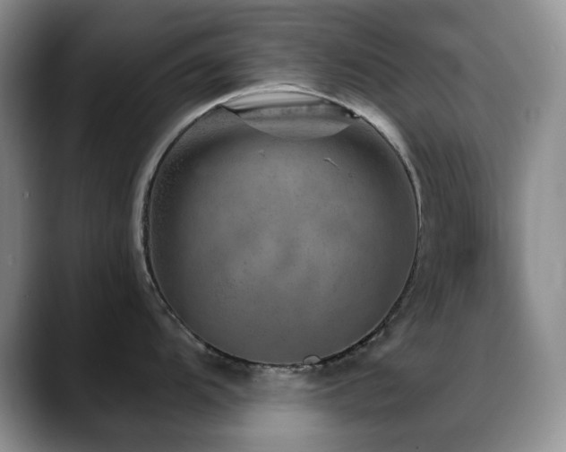 X0000088851104200706081130