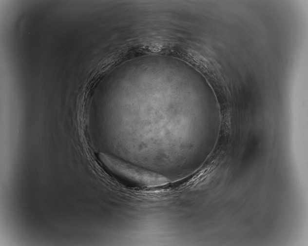 X0000088851105200706081129