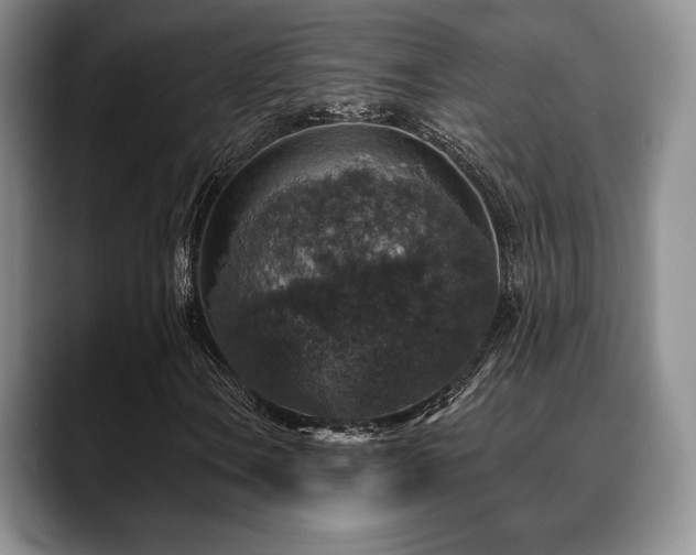 X0000088851106200706081129