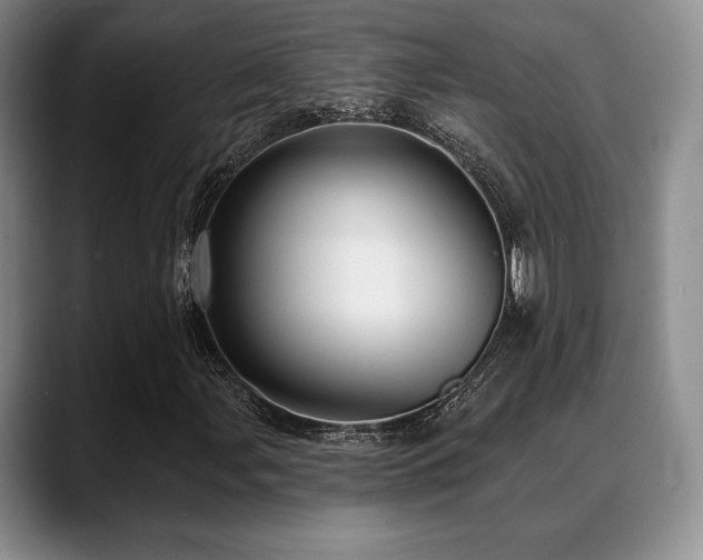 X0000088851107200706081129