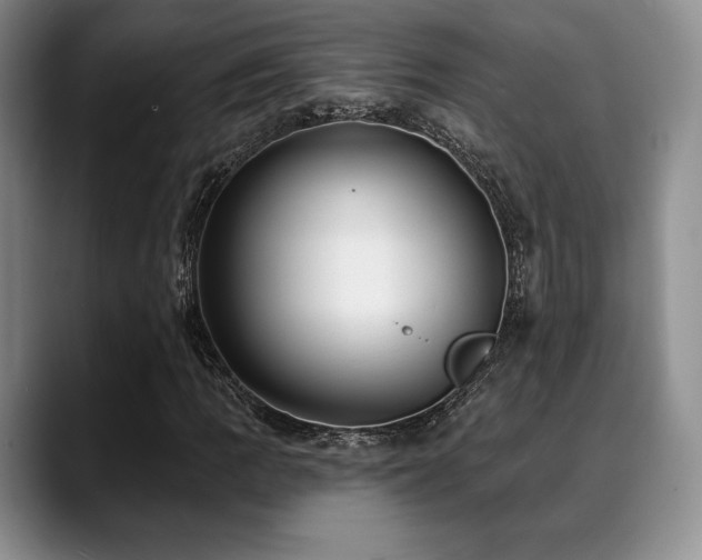 X0000088851109200706081129