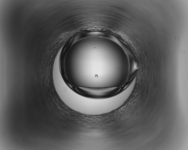 X0000088851110200706081129