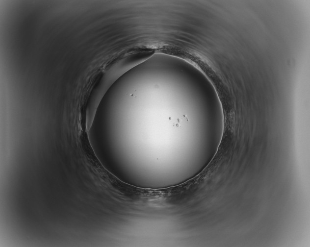 X0000088851111200706081129