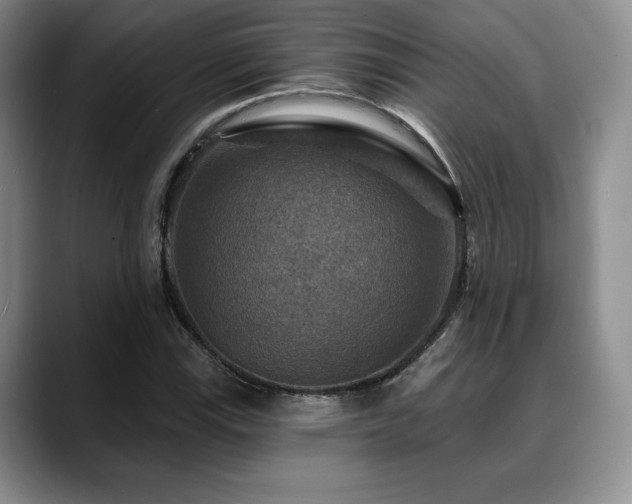 X0000088851115200706081130