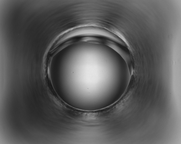 X0000088851116200706081130