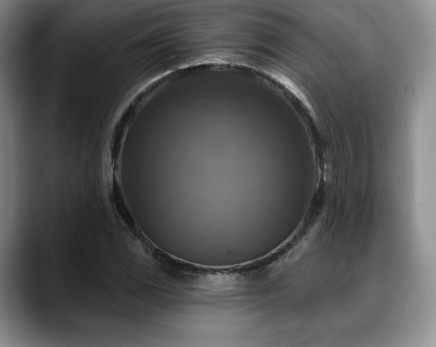 X0000088851117200706081130